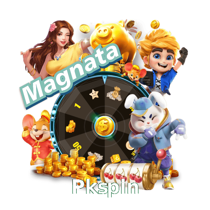 Pkspin interface sample